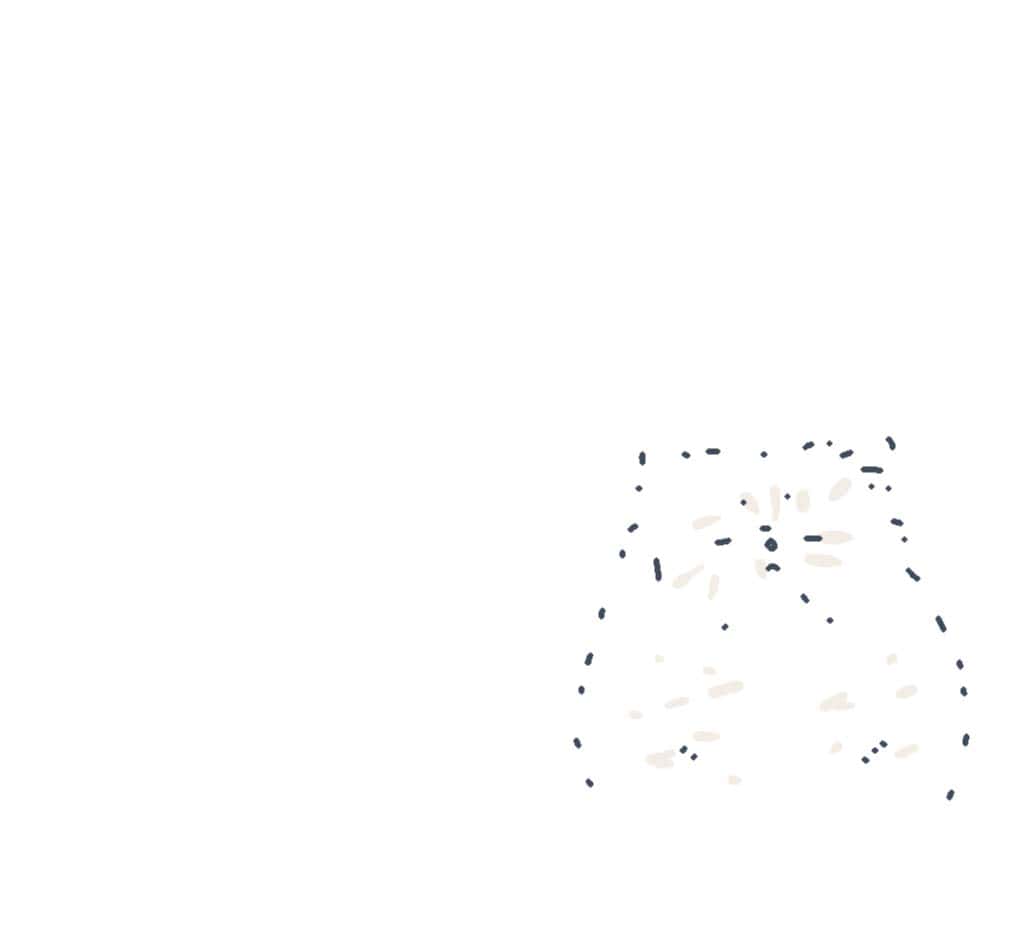 pets animations